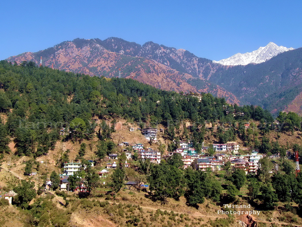 McleodGanj Dharamsala